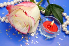 Rose et perles Photos libres de droits