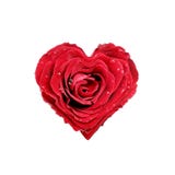 Rose heart