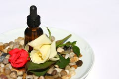 Rose Petal Aromatherapy