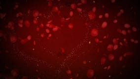 Rose Petal Hearts Exploding with Glitter 4K Loop