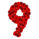 Rose Petals Realistic Number Vector-Illustratie stock illustratie Rose Petals Realistic Number Vector-Illustratie stock illustratie