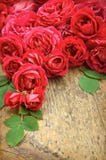 Rose rosa su fondo di legno Fotografia Stock Libera da Diritti Rose rosa su fondo di legno Fotografia Stock Libera da Diritti