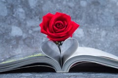Rose setzte auf die Buchseite, die in eine Herzform verbogen wird Lizenzfreies Stockbild Rose setzte auf die Buchseite, die in eine Herzform verbogen wird Lizenzfreies Stockbild