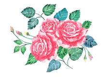 Rosen-Blumenstraußkunst des Aquarells rosa Handgemalte Blumen mit buntem Blattisolat Illustration des Valentinsgrußes lizenzfreie abbildung Rosen-Blumenstraußkunst des Aquarells rosa Handgemalte Blumen mit buntem Blattisolat Illustration des Valentinsgrußes lizenzfreie abbildung