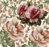 Rosen. Schöner Hintergrund mit einem Blume orname stock abbildung Rosen. Schöner Hintergrund mit einem Blume orname stock abbildung