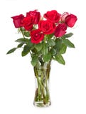 Roses dans un vase en verre d'isolement sur le fond blanc photographie stock Roses dans un vase en verre d'isolement sur le fond blanc photographie stock