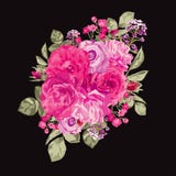 Roses Floral Bouquet Royalty Free Stock Photos