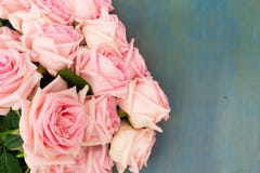 Roses fraîches roses image stock Roses fraîches roses image stock