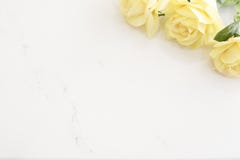 Roses jaunes au-dessus du fond de marbre, frontière des roses jaunes Vue florale avec les fleurs jaunes sur le fond en bois Marke Photo stock Roses jaunes au-dessus du fond de marbre, frontière des roses jaunes Vue florale avec les fleurs jaunes sur le fond en bois Marke Photo stock