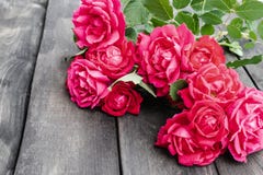 Roses on an old wooden board. Flower frame stock image Roses on an old wooden board. Flower frame stock image