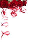 Roses rouges photo stock Roses rouges photo stock
