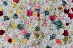 Roses paper wall background with amazing red and white roses. Stock Photo Roses paper wall background with amazing red and white roses. Stock Photo
