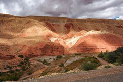 Rosor f?r den h?rliga Rose Valley - Vallee desen, n?ra Ouarzazate, Marocko royaltyfri bild Rosor f?r den h?rliga Rose Valley - Vallee desen, n?ra Ouarzazate, Marocko royaltyfri bild