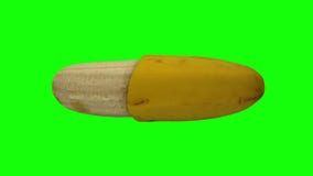 Rotating Half Peeled Banana on Green Background 03A Looping royalty free illustration Rotating Half Peeled Banana on Green Background 03A Looping royalty free illustration