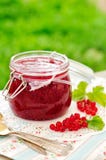 Rote Johannisbeerstau, Kopienraum für Ihren Text stockfotografie Rote Johannisbeerstau, Kopienraum für Ihren Text stockfotografie