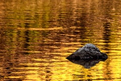 Rots en de gouden bezinningen van het de herfstmeer stock afbeelding Rots en de gouden bezinningen van het de herfstmeer stock afbeelding