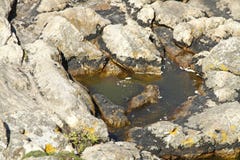Rotsen en water marron royalty-vrije stock afbeeldingen Rotsen en water marron royalty-vrije stock afbeeldingen