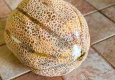 Rotte frambozenmeloen met paddestoel het groeien op de schil stock foto Rotte frambozenmeloen met paddestoel het groeien op de schil stock foto