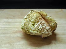 The rotten cabbage stock image The rotten cabbage stock image