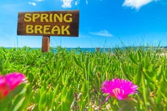 Rottura di primavera scritta su un segno di legno fotografia stock libera da diritti Rottura di primavera scritta su un segno di legno fotografia stock libera da diritti