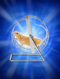 Roue d'exercice de hamster de souris photos stock Roue d'exercice de hamster de souris photos stock