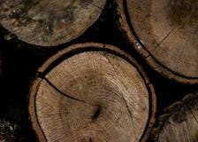Round Brown Wooden Slab Stock Photos Round Brown Wooden Slab Stock Photos