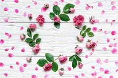 Round frame flower pattern with roses flowers, buds, petals, branches and leaves royalty free stock photo Round frame flower pattern with roses flowers, buds, petals, branches and leaves royalty free stock photo