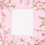 Round Frame With Spring Flowers And White Paper Vintage Car On Pink Background. Flat Lay, Top View. Stock Images