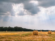 Summer in the European countryside stock images Summer in the European countryside stock images
