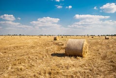 Round haystacks on a field of straw, on a sunny summer day, against a background of sky and trees royalty free stock photos Round haystacks on a field of straw, on a sunny summer day, against a background of sky and trees royalty free stock photos