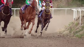 Rounding of the Racecourse on Horse Races. Slow Motion