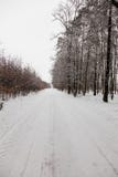 Route d'allée de neige dans la forêt d'hiver photographie stock Route d'allée de neige dans la forêt d'hiver photographie stock