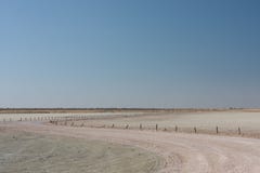 Route de gravier dans la casserole de sel d'Etosha photographie stock Route de gravier dans la casserole de sel d'Etosha photographie stock