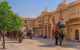 Row of elephants at Amber Fort stock images Row of elephants at Amber Fort stock images