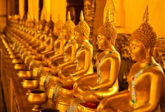 Row Of Golden Buddha Statue Royalty Free Stock Image