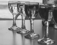 Row of small wine glasses with different wine black and white. Glasses of wine monochrome. Wine set elegant. stock images Row of small wine glasses with different wine black and white. Glasses of wine monochrome. Wine set elegant. stock images