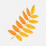 Rowan leaf icon, flat style vector illustration Rowan leaf icon, flat style vector illustration