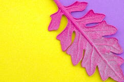 Roze blad op kleurrijke document achtergrond Stijl van het manier de minimale pop-art royalty-vrije stock afbeelding Roze blad op kleurrijke document achtergrond Stijl van het manier de minimale pop-art royalty-vrije stock afbeelding