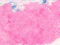 Roze Marmertextuurachtergrond Stock Fotografie Roze Marmertextuurachtergrond Stock Fotografie