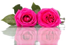 Roze nam bloemboeket op witte achtergrond wordt geïsoleerd die toe stock afbeeldingen Roze nam bloemboeket op witte achtergrond wordt geïsoleerd die toe stock afbeeldingen