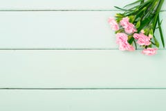 Roze narnationbloemen op de groene houten raad stock foto Roze narnationbloemen op de groene houten raad stock foto