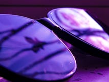 Roze purpere slylishzonnebril en mooi royalty-vrije stock afbeelding Roze purpere slylishzonnebril en mooi royalty-vrije stock afbeelding