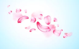 Roze sakura verse dalende bloemblaadjes met dalingen van water, dauw met onduidelijk beeldeffect Het kan voor prestaties van het vector illustratie Roze sakura verse dalende bloemblaadjes met dalingen van water, dauw met onduidelijk beeldeffect Het kan voor prestaties van het vector illustratie