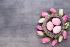 Roze tulp met roze eierennest op een grijze achtergrond De groetenkaart van Pasen stock afbeelding Roze tulp met roze eierennest op een grijze achtergrond De groetenkaart van Pasen stock afbeelding