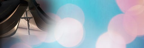 Rozentuin onder bijbel en blauwe roze bokehovergang stock foto Rozentuin onder bijbel en blauwe roze bokehovergang stock foto