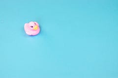 Rubber bath duck on colorful background. Top view on toy rubber duck. Toy play for kid ducky floating. royalty free stock image Rubber bath duck on colorful background. Top view on toy rubber duck. Toy play for kid ducky floating. royalty free stock image