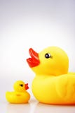 Rubber Duck Stock Photography