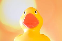 Rubber Duck Stock Photography