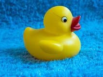Rubber duck stock photography Rubber duck stock photography