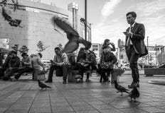 Rues des personnes de smartphone de Séoul photos libres de droits Rues des personnes de smartphone de Séoul photos libres de droits